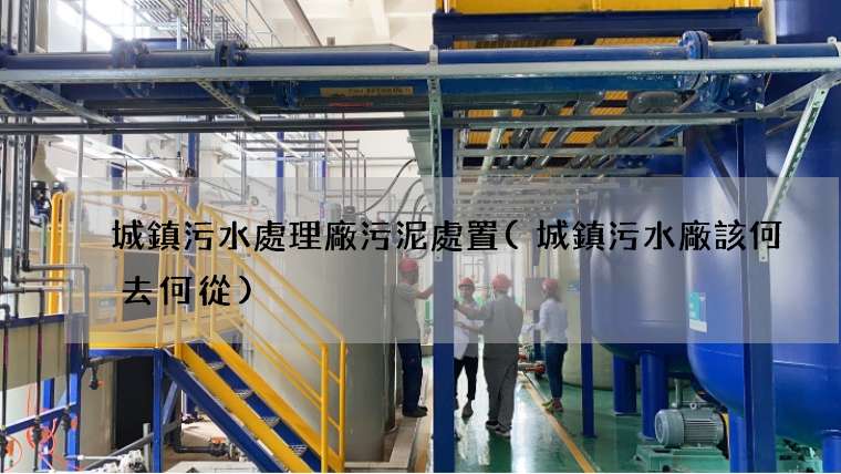 城鎮污水處理廠污泥處置(城鎮污水廠該何去何從)